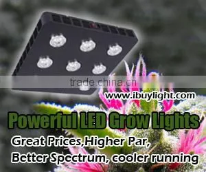 Twilight Group Co., Ltd. company overview - view 2