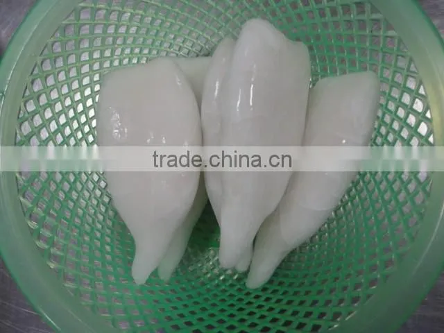 IQF frozen squid tube U10