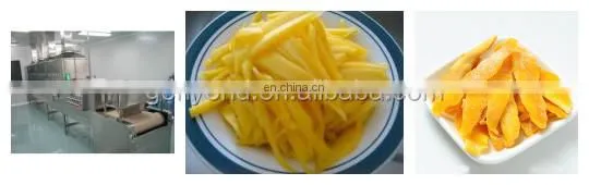 Shanghai Genyond mango processing machine for dry chips