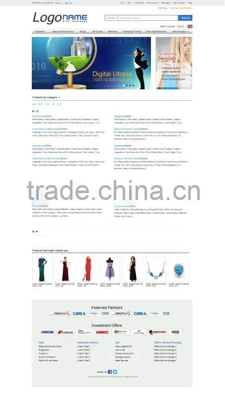Effective website promotion and marketing