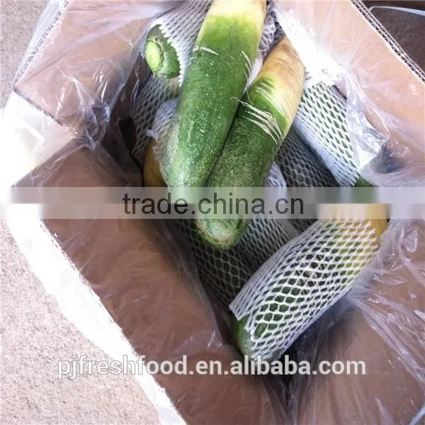 White Radish /green radish wholsale