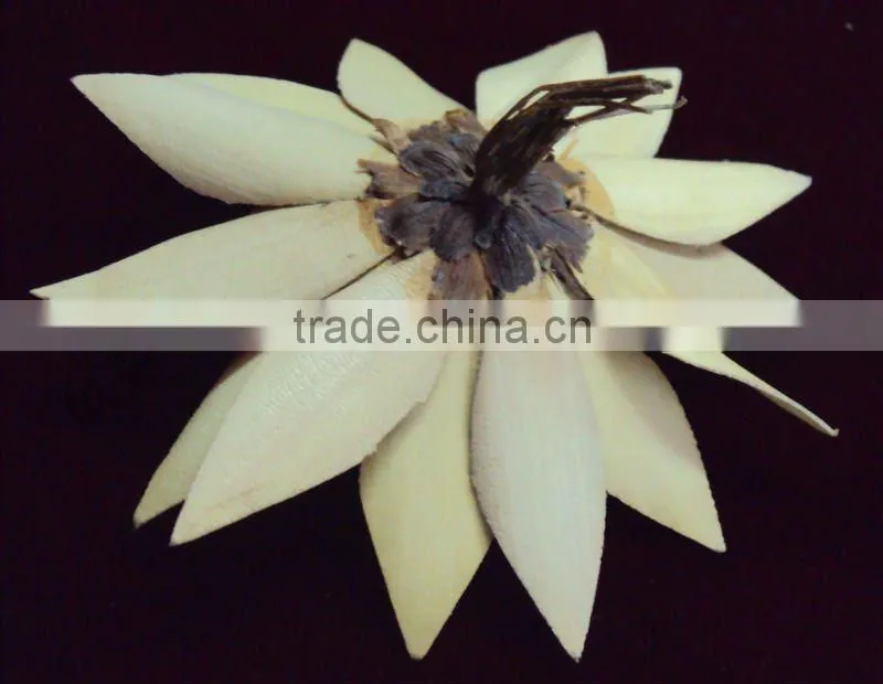 Palm flower