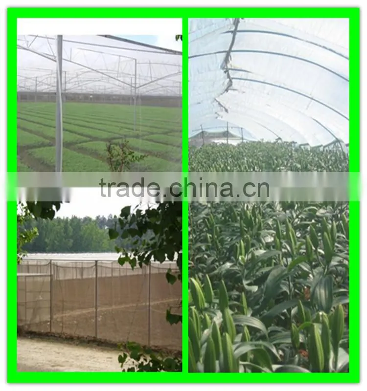 Suntex virgin HDPE recycle insect screen protection mesh for fruit trees
