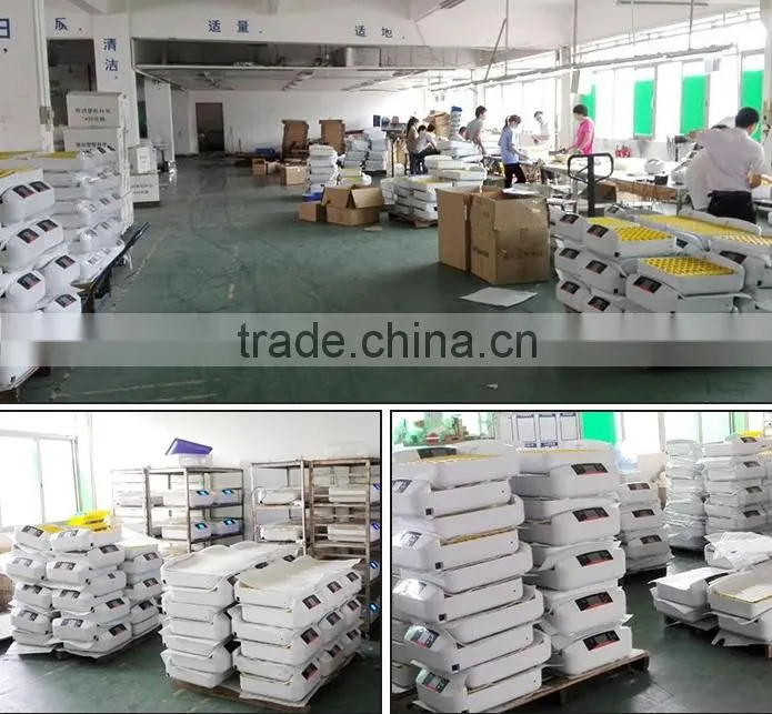 China Made High Technology Incubator Egg Turning Motor AI-56S