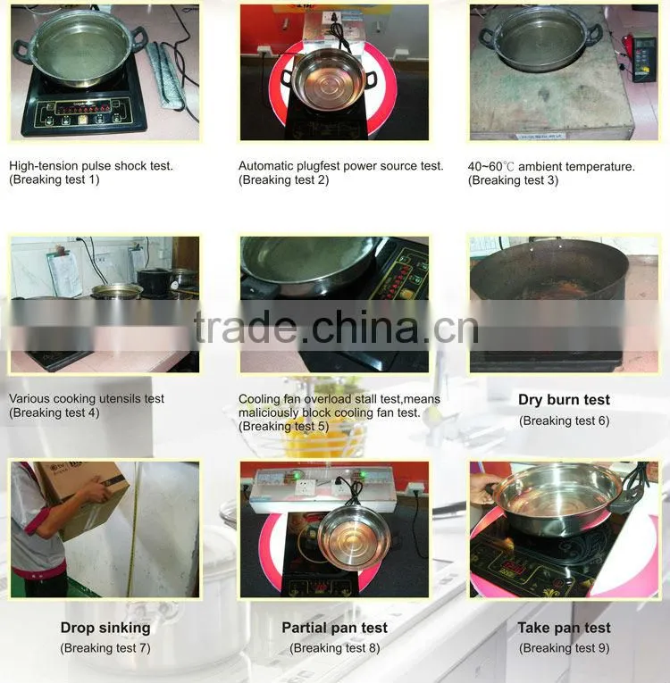 dual induction cooker