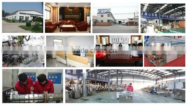 Broken Rice Made Nutritional Food Artificial Rice Extruder