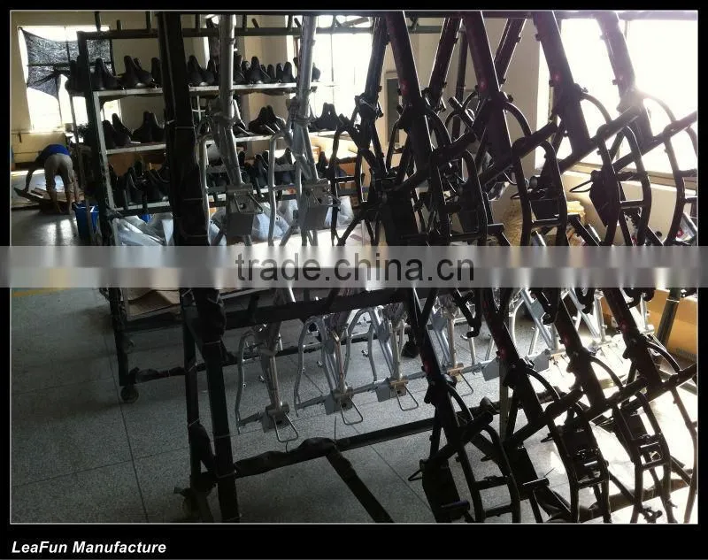 Europe NO1 Sell Aluminum alloy Electric Bike With High Power Motors .36VLithium Battery