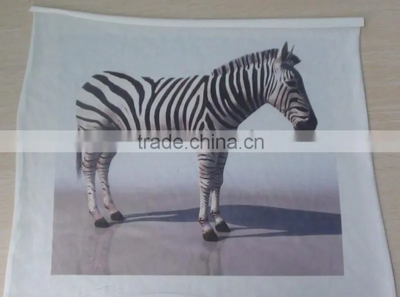 Digital Inkjet eco-solvent/ Textile T-shirt/glass/acrylic/pcv multifunctional Printing Machine