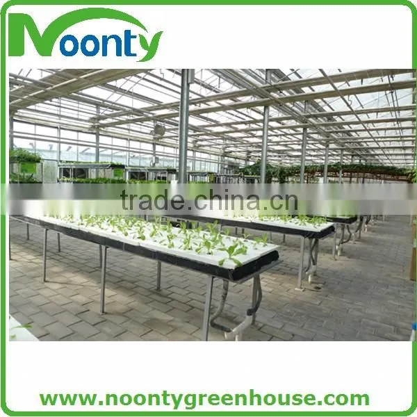 Economical Tunnel Greenhouse