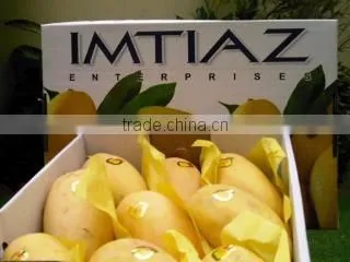 Imtiaz Enterprises company overview - view 3