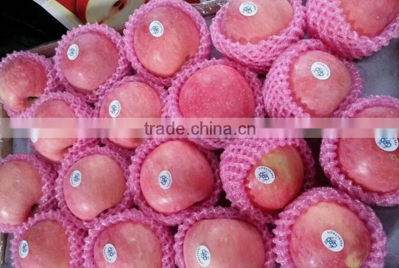 chinese fuji apple