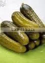 Vietnam preserved gherkins & pickled cucumbers in jar - Cheap price and good quality!