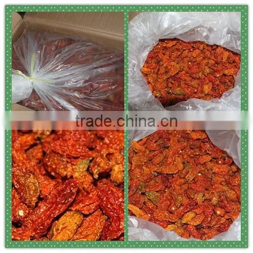 Dried Chinese Paprika Chili Whole