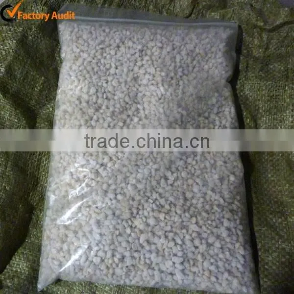 Hydroponics Perlite Expanded