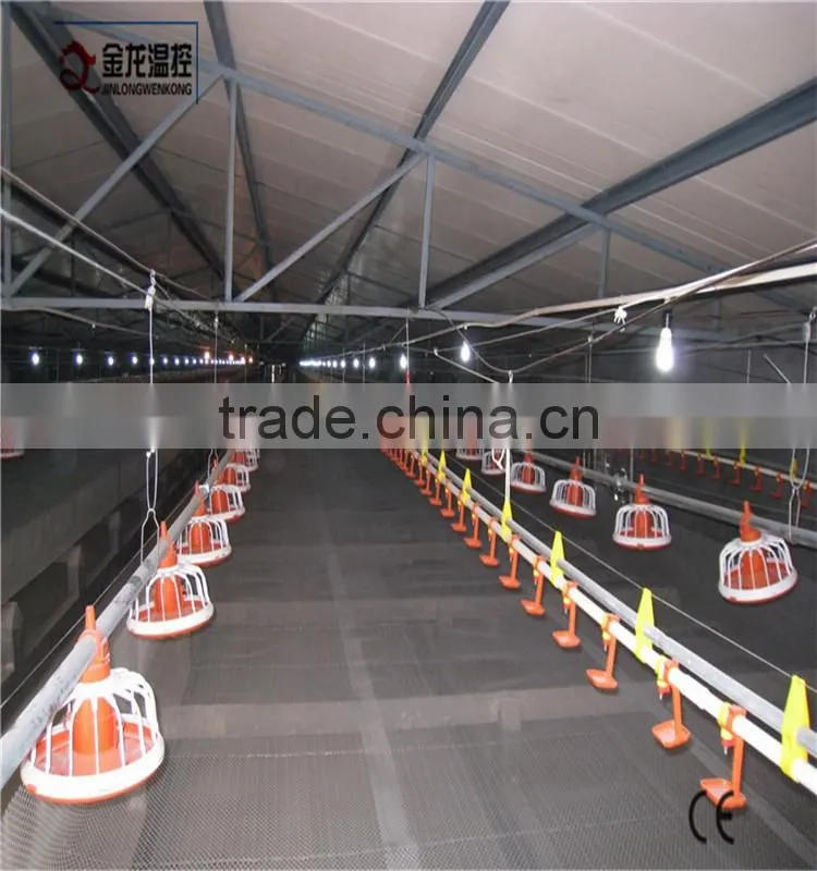 auger feed system for poultry