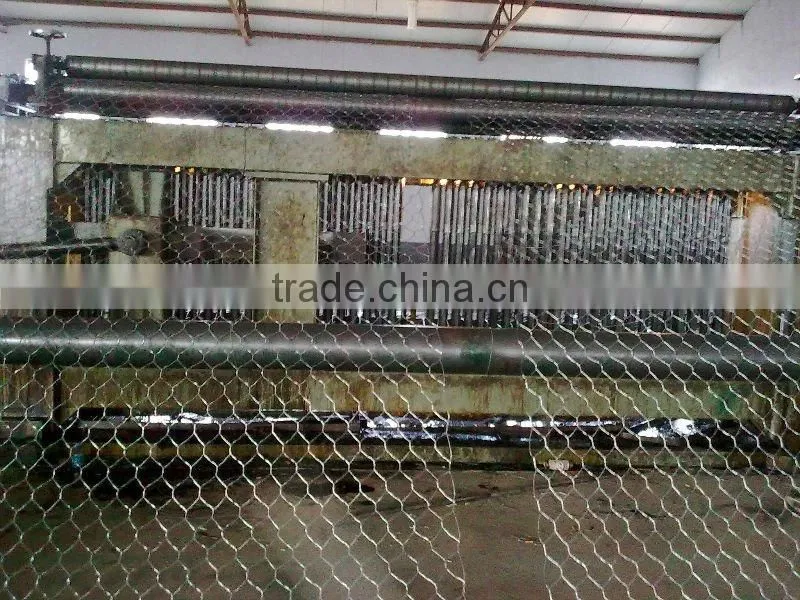 Galvanized hexagonal wire netting