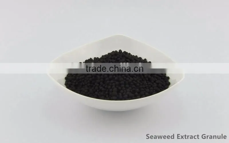 Wholesale Price Seaweed Extract Granule Alginic acid 18% for Agriculatural Use