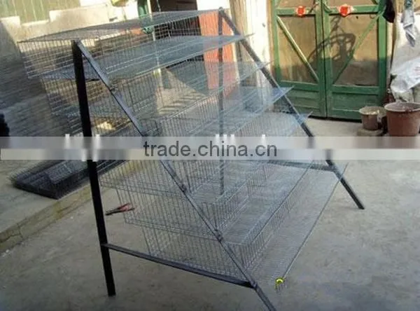 Promotion Layer Quail Cages For Sale Cheap