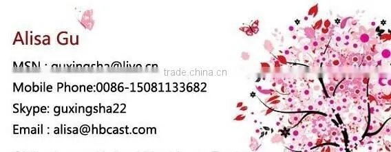 vegetable dicer/vegetable processing machinery