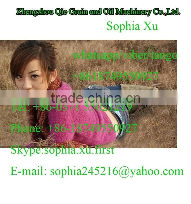 Good price large profit small manufacturing plant