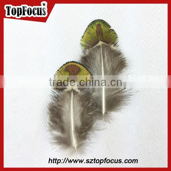 New Trendy gold color cheap artificial peacock feathers for sale