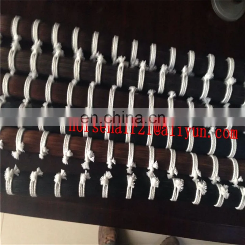 horse tail equestrian