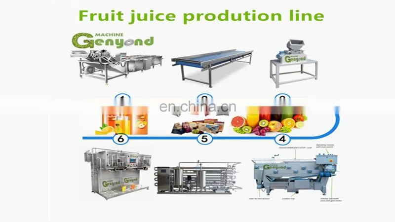Shanghai Genyond Factory Compound apple juice pressing equipment extractor extracting machine plant fruit juicer machine