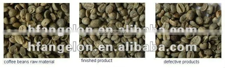 Coffee bean color separator