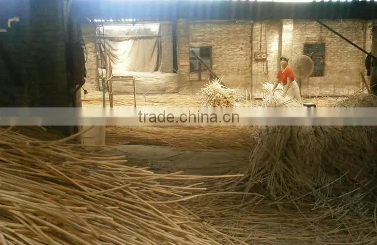 Shenzhen Lihome factory export nattural AA grade curly shape home fragrance reed diffuser rattan sticks