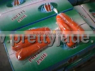 2013 Hot sale Chinese fresh red Carrot