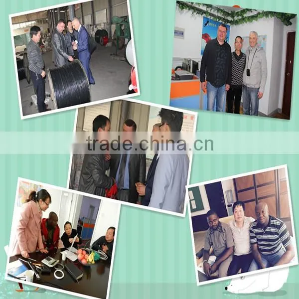 XLPE PE PVC Insulation Material and Aluminum Alloy AAAC Aluminum AAC Conductor Material Low voltage twisted abc cable