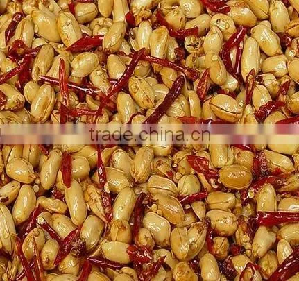 peanut frying machine