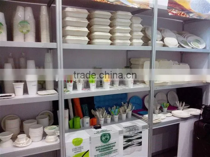 100% biodegradable disposable plastic dinner plate:XYFD-0903