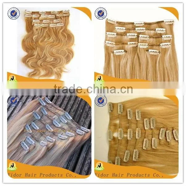100% Virgin Remy Brazilan Hair Clip In100% Human Clip Hair Extensions