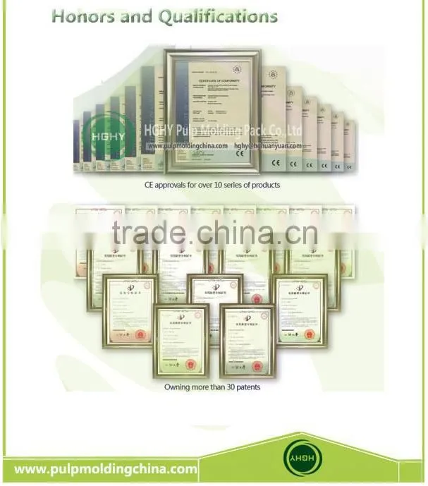 disposable paper dish pulp molding machine by HGHY