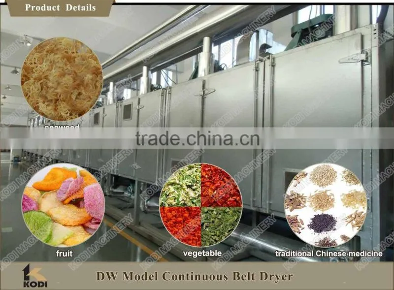 DW Model Continuous Sunflower Seeds Mesh Conveyor Belt Dryer