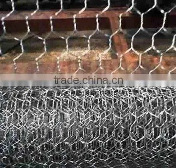 Electro Galvanized Hexagonal Wire Mesh