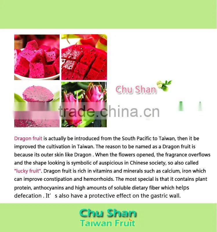 Fresh dragon fruit exporter from Taiwan
