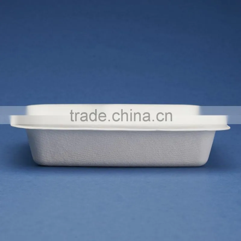 BX-76-2 Two parts rectangle disposable airline food bagasse box