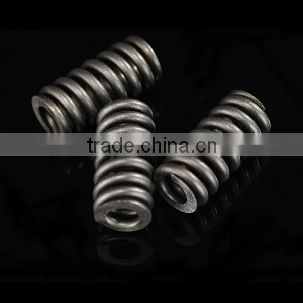 Bosch Fuel Injector Spring 2434619017