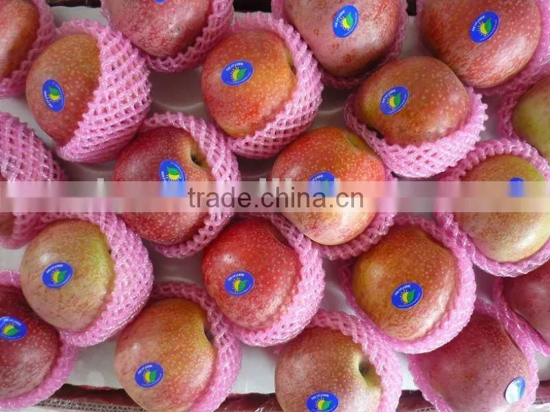 qinguan apple