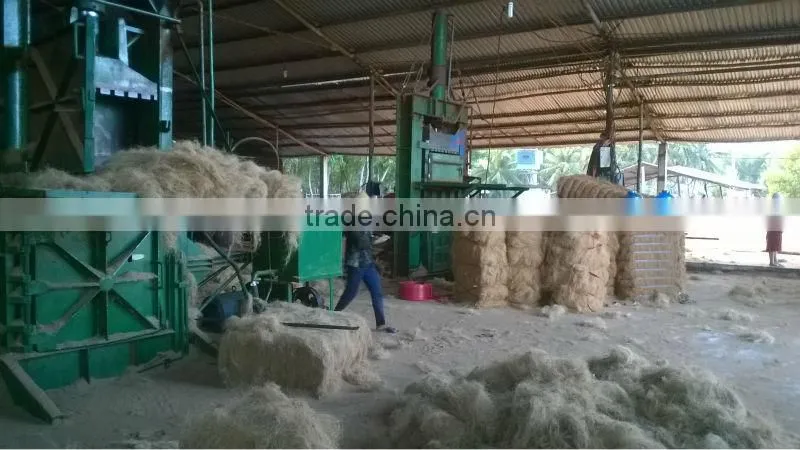 Coconut Fiber (QQ : 2598494113)