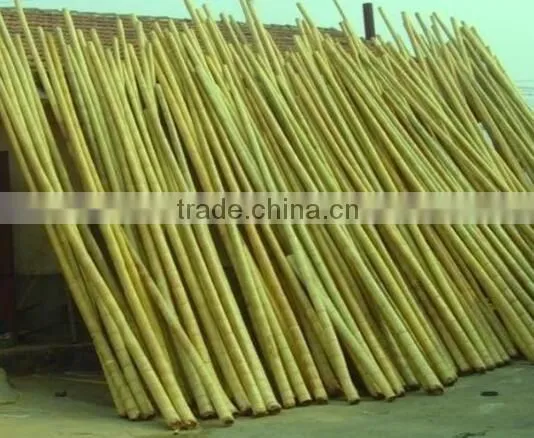 Bamboo poles and Bamboo bent pole