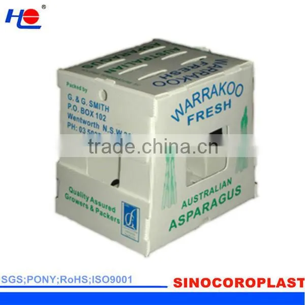 anti-static and colorful plastic polypropylene not mildew box