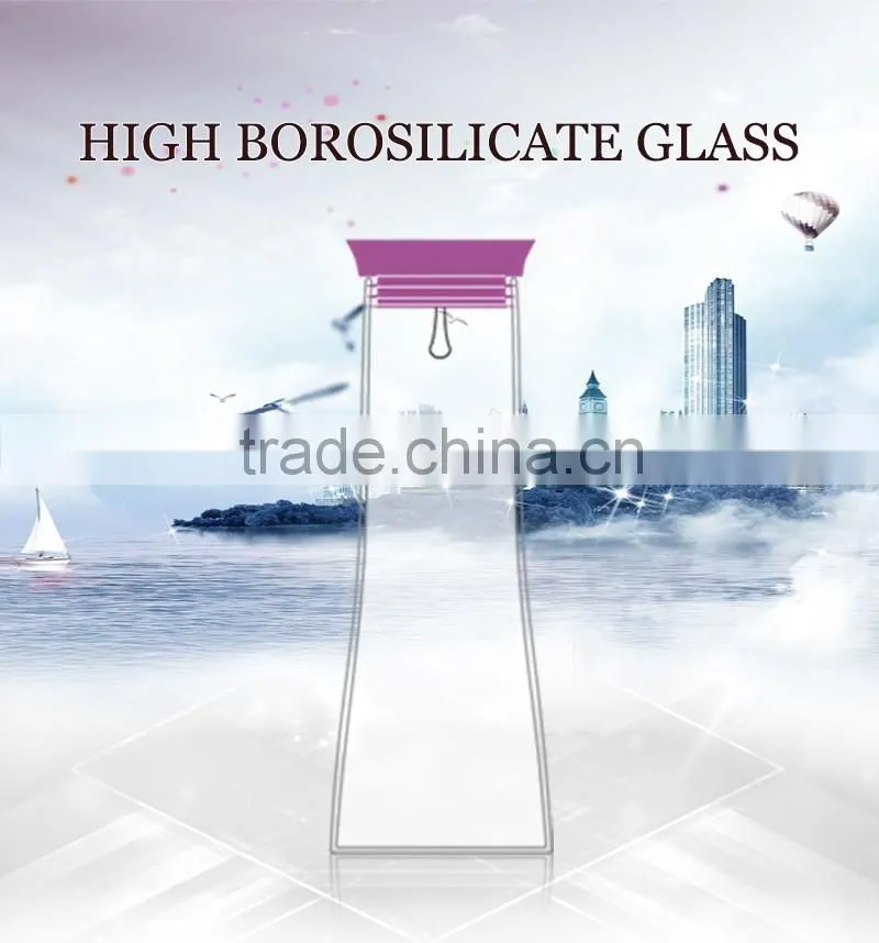 2016 New High borosilicate glass infuser water filter with lid