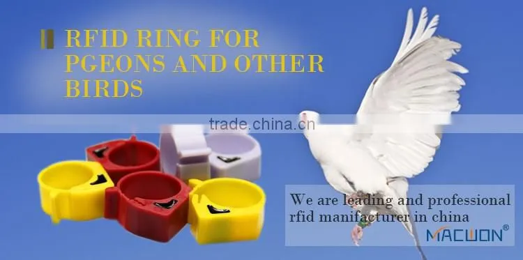 Hot sale! Electronic RFID pigeon ring, pigeon foot ring