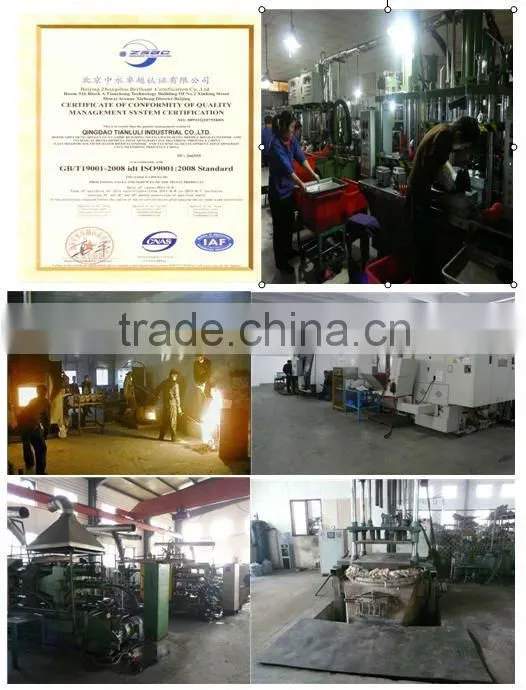 High Precision Stainless Steel Casting Parts for fix clamp