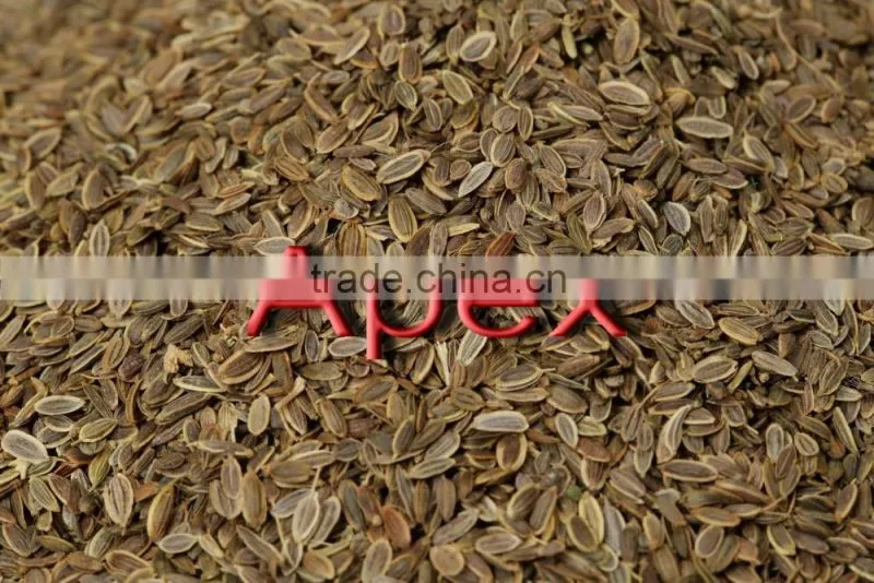 Dill Seeds TBC