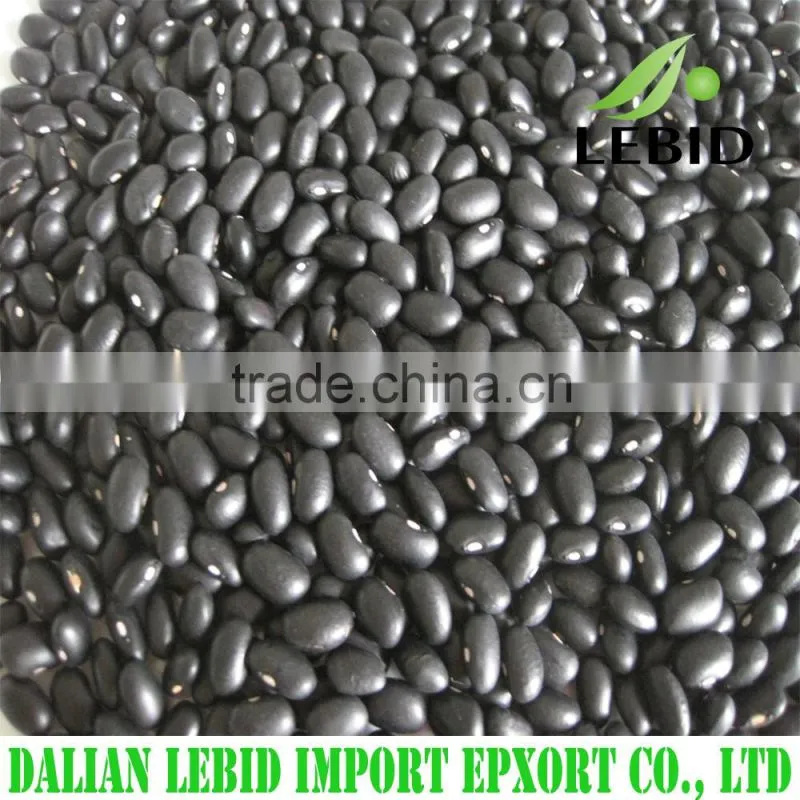 High quality white kidney beans spanish type
