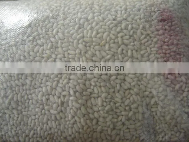 2015 white kidney beans for sale with cheaper price from china
